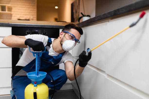 Best Residential Pest Control  in West Glens Falls, NY
