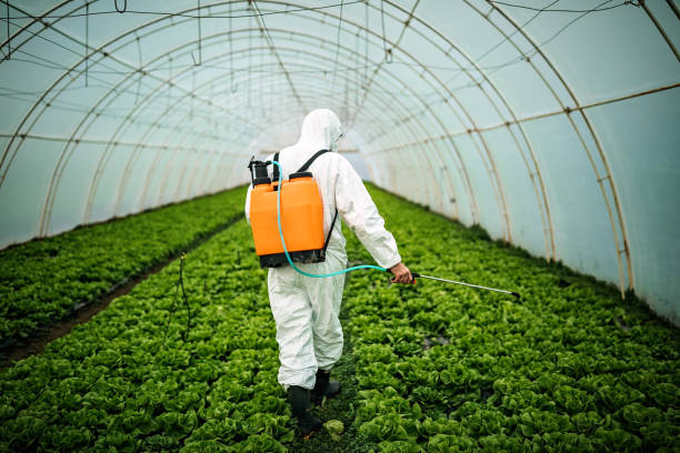 Best Best Pest Control Companies  in West Glens Falls, NY