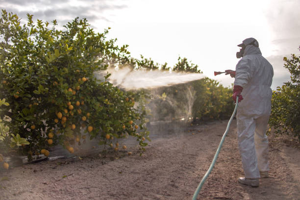 Best Commercial Pest Control Services  in West Glens Falls, NY