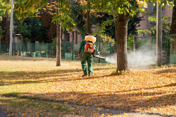 Wasp Removal Services in West Glens Falls, NY