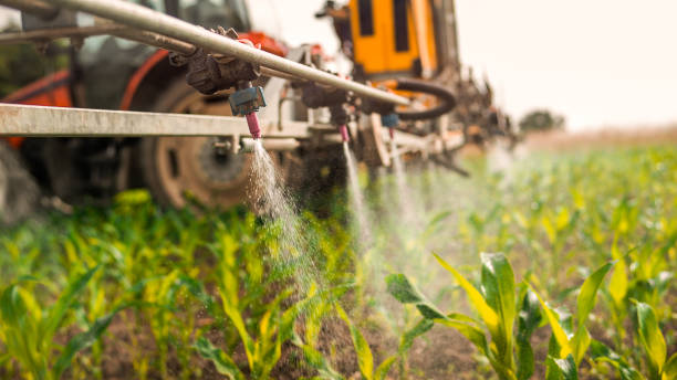 Best Best Pest Control Companies  in West Glens Falls, NY